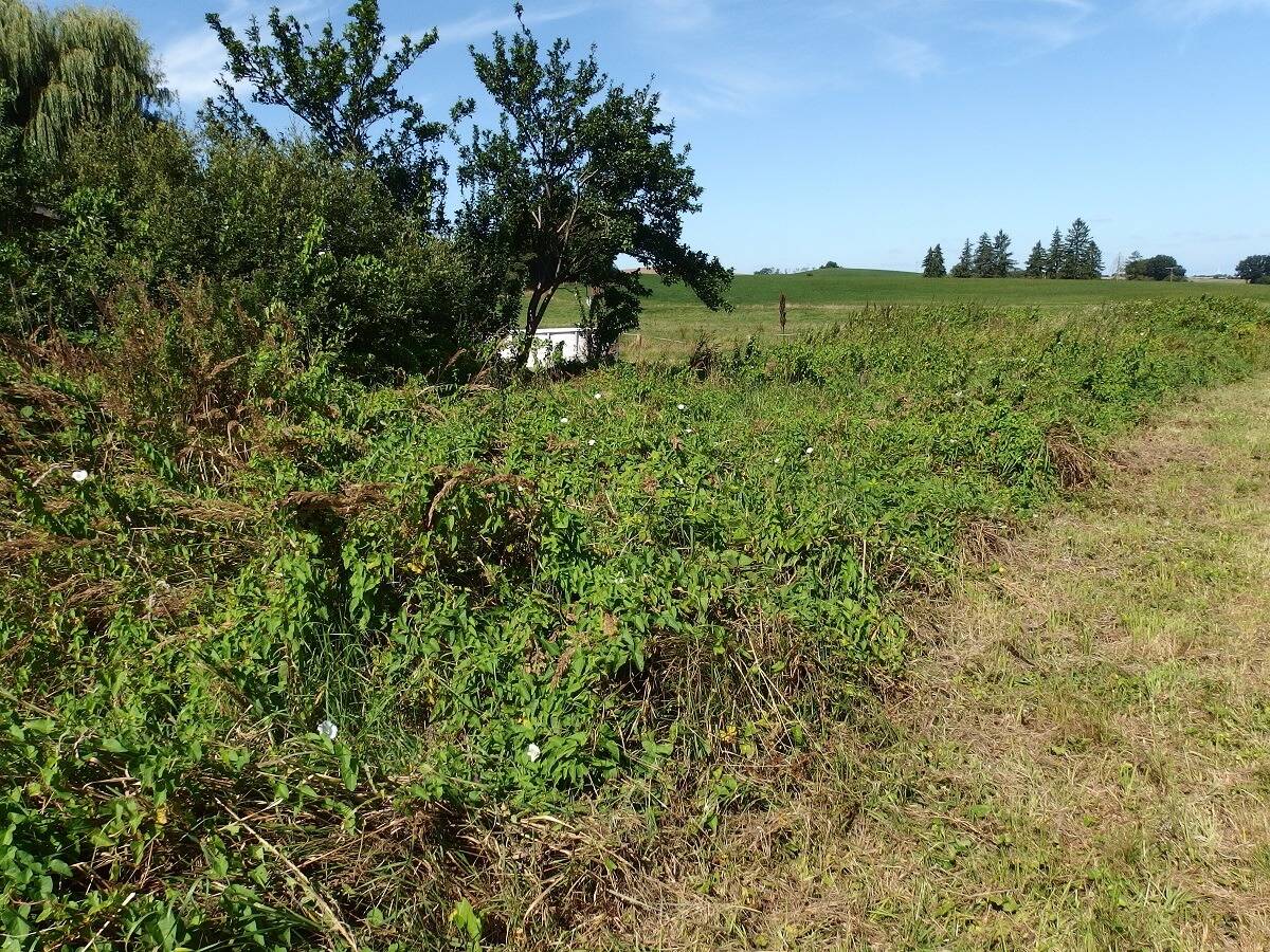 Terreno en Nordwestmecklenburg, Germany No. 266967