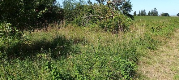 Terreno en Nordwestmecklenburg, Germany No. 266967 7