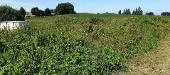 Terreno en Nordwestmecklenburg, Germany No. 266967 4