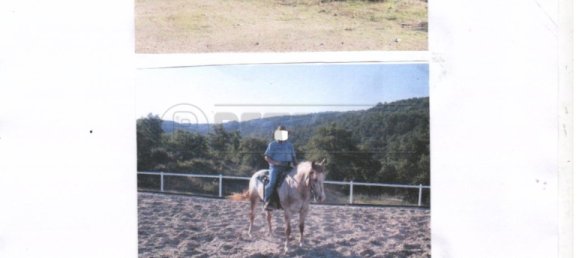 340m² Hotel in Bucine, Italy No. 327037 4