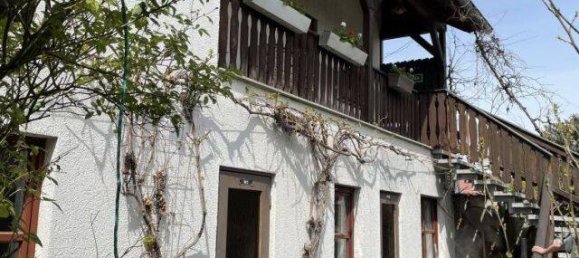 Café / restaurant à Nordsachsen, Germany No. 260337 12