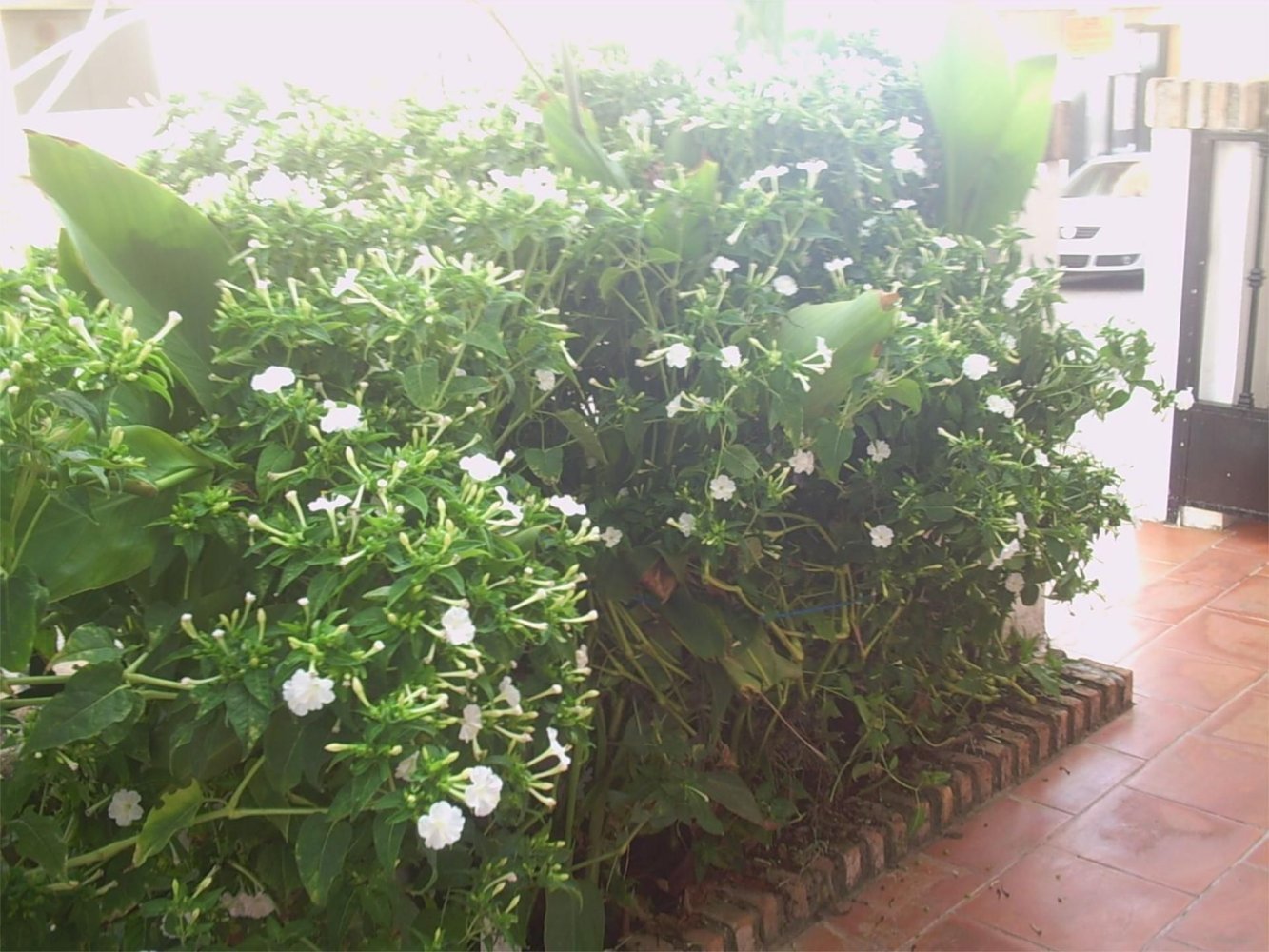 5 bedrooms Townhouse in Baeza, Spain No. 208402