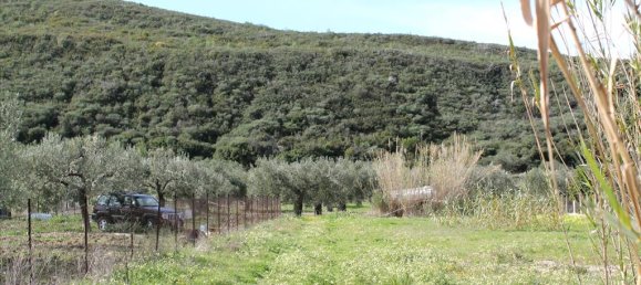 Отель, гостиница 15000м² в Халкидики, Греция № 8060 3