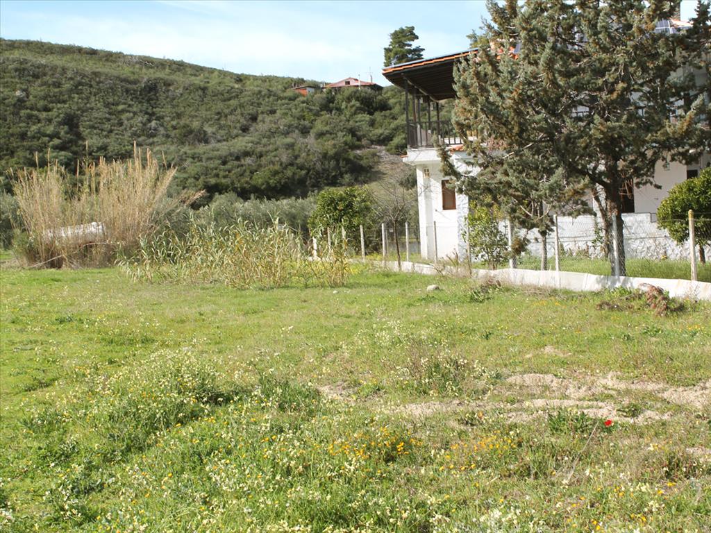 Отель, гостиница 15000м² в Халкидики, Греция № 8060