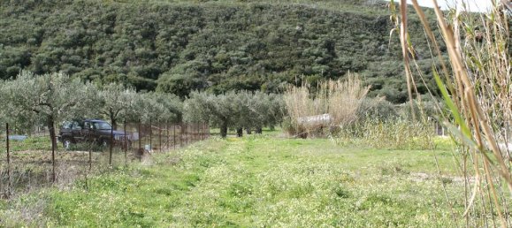 Отель, гостиница 15000м² в Халкидики, Греция № 8060 2