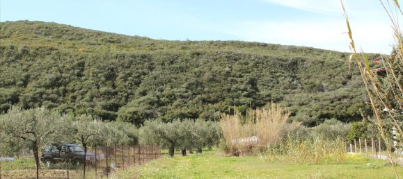 Hôtel à Chalkidiki, Greece 15000m² No. 8060 4