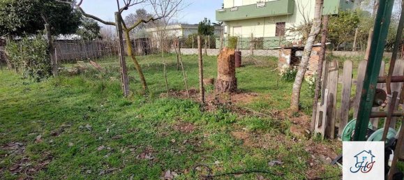 1-salle Terrain à Nettuno, Italy No. 143517 4