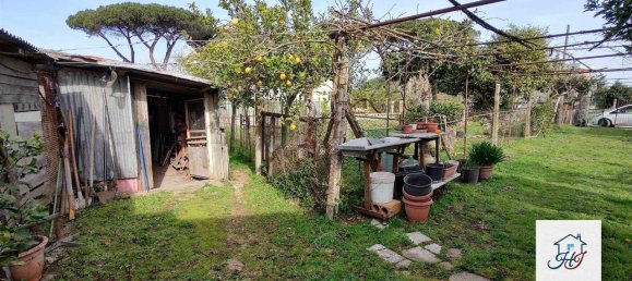 1-salle Terrain à Nettuno, Italy No. 143517 3