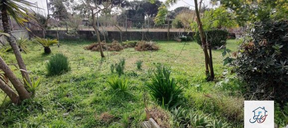 1-salle Terrain à Nettuno, Italy No. 143517 5