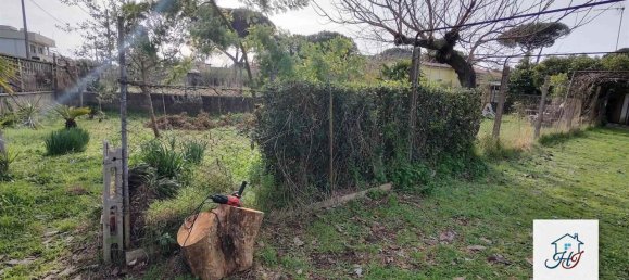 1-salle Terrain à Nettuno, Italy No. 143517 6