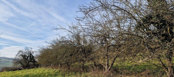 4000m² Land in Bad Schallerbach, Austria No. 192831 4