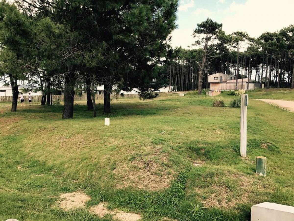 Земельный участок в Мальдонадо, Уругвай № 15358