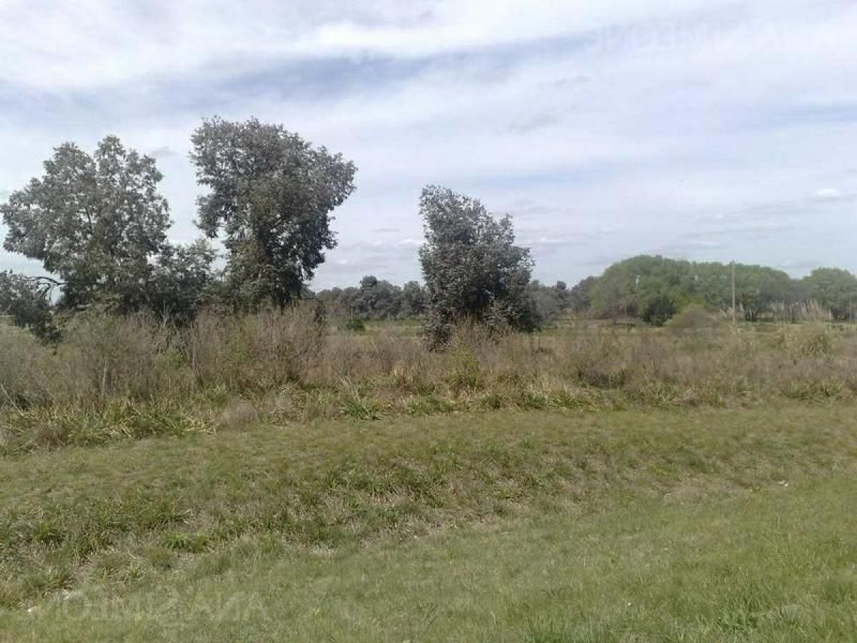 Terrain à Tigre, Argentina No. 33105