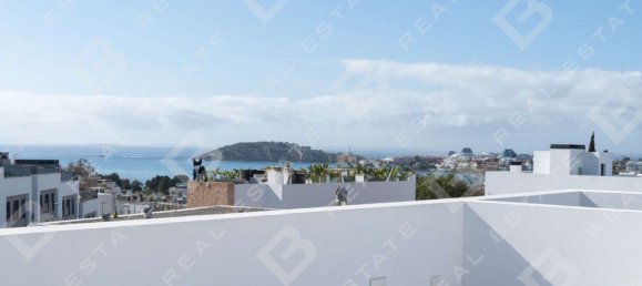 3 غرف نوم فيلا في Ibiza, Spain رقم 179755 25