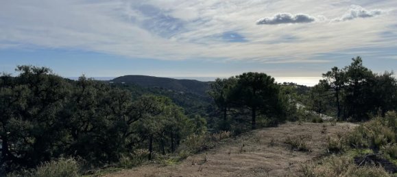  Land in Malaga, Spain No. 84570 13