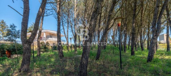 3 Schlafzimmer Villa in Martina Franca, Italy, Nr. 155037 25