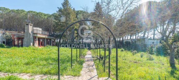 3 Schlafzimmer Villa in Martina Franca, Italy, Nr. 155037 39