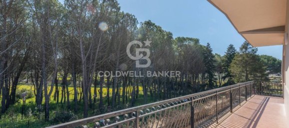 3 Schlafzimmer Villa in Martina Franca, Italy, Nr. 155037 27