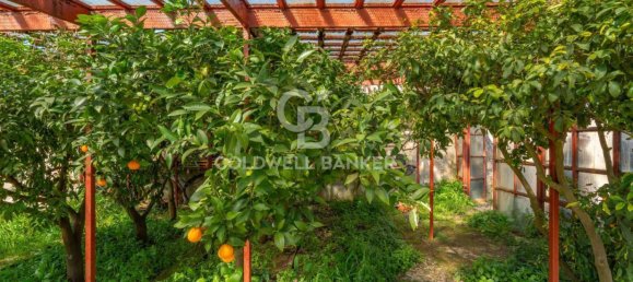 3 Schlafzimmer Villa in Martina Franca, Italy, Nr. 155037 23