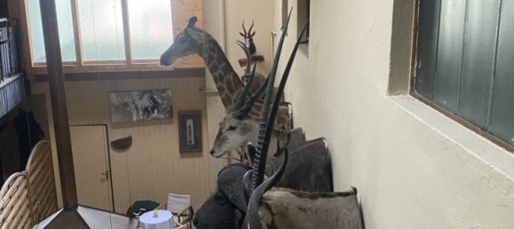 790m² Commercial property in Weisskirchen in Steiermark, Austria No. 129342 8