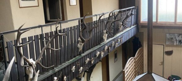 790m² Commercial property in Weisskirchen in Steiermark, Austria No. 129342 7