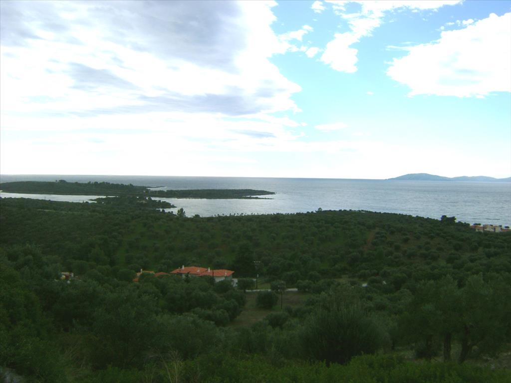  فندق في Chalkidiki, Greece 16728متر مربع رقم 8048