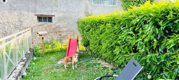 2 bedrooms Apartment in Burnhaupt-le-Bas, France No. 154933 6