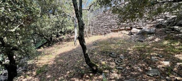 2 bedrooms House in Occitanie, France No. 314635 3