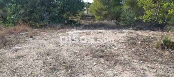  Land in Burjassot, Spain No. 138218 4
