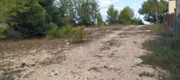  Land in Burjassot, Spain No. 138218 2