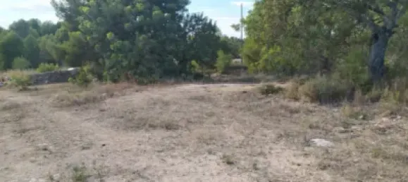  Land in Burjassot, Spain No. 138218 6