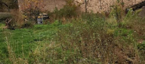  قطعة أرض في Saxony, Germany رقم 237107 2