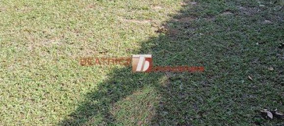 Villa de 7 dormitorios en Lucca, Italy No. 147358 3