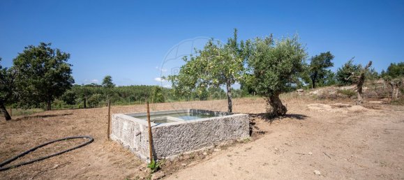 9 bedrooms House in Carregal do Sal, Portugal No. 185829 34