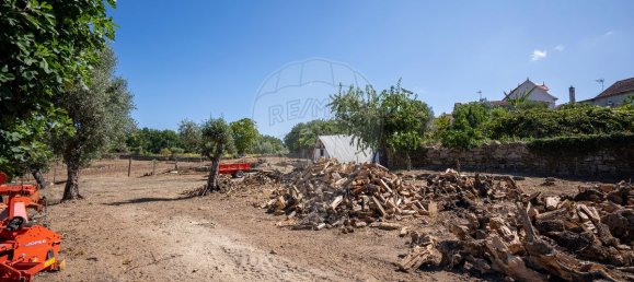 9 bedrooms House in Carregal do Sal, Portugal No. 185829 33