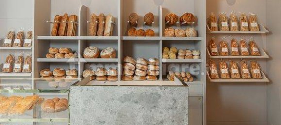 3 rooms Commercial property in Padua, Italy No. 72226 6