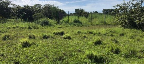 Land in Liberia, Costa Rica No. 1523 4