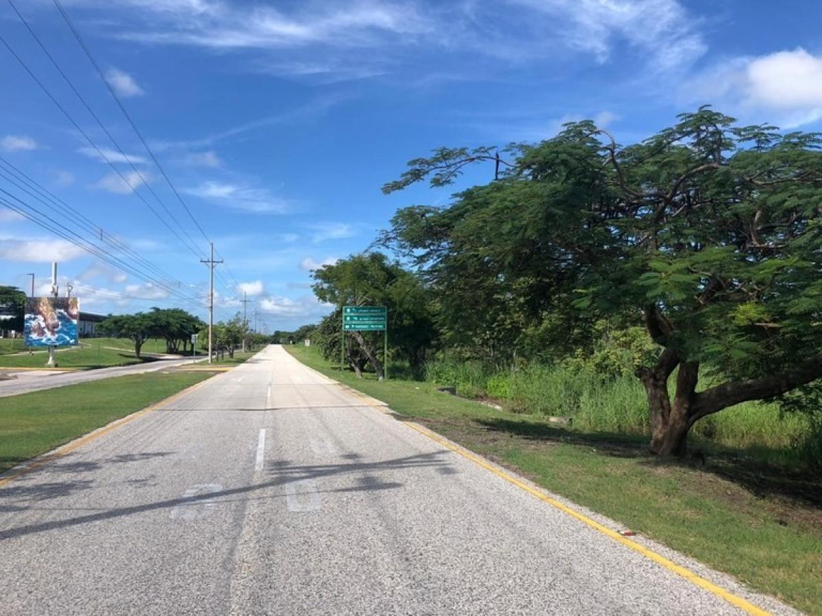  Land in Liberia, Costa Rica No. 1523