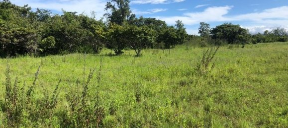 Land in Liberia, Costa Rica No. 1523 5