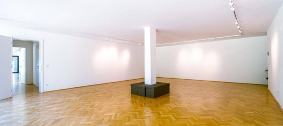 9 rooms House in Dobling, Austria No. 159792 11