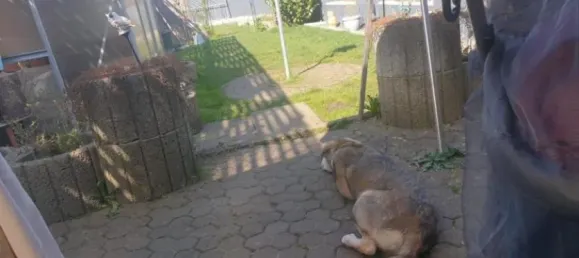 Таунхаус с 4 комнатами в Саарбрюккен, Германия № 22369 8