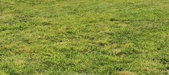 Terreno em Seine-Maritime, France 617 m² N.º 353960 4