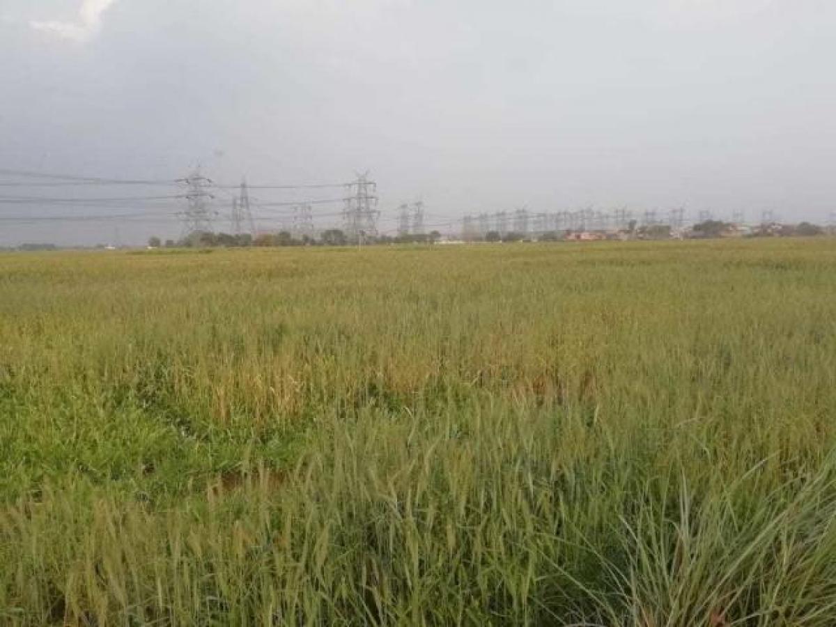 Terreno en Noida, India No. 66171