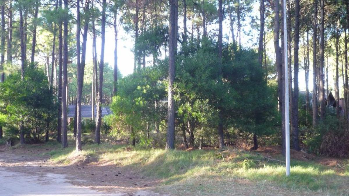  Land in Mar del Plata, Argentina No. 120623