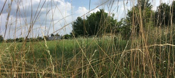 Terreno em Crepy-en-Valois, France N.º 95472 2