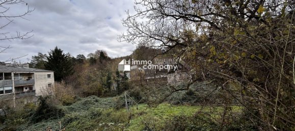 Земельный участок в Клоштернойбург, Австрия № 133519 3