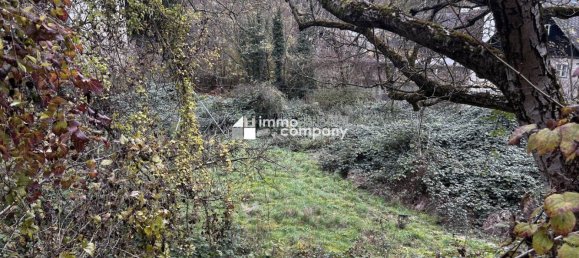 Земельный участок в Клоштернойбург, Австрия № 133519 2