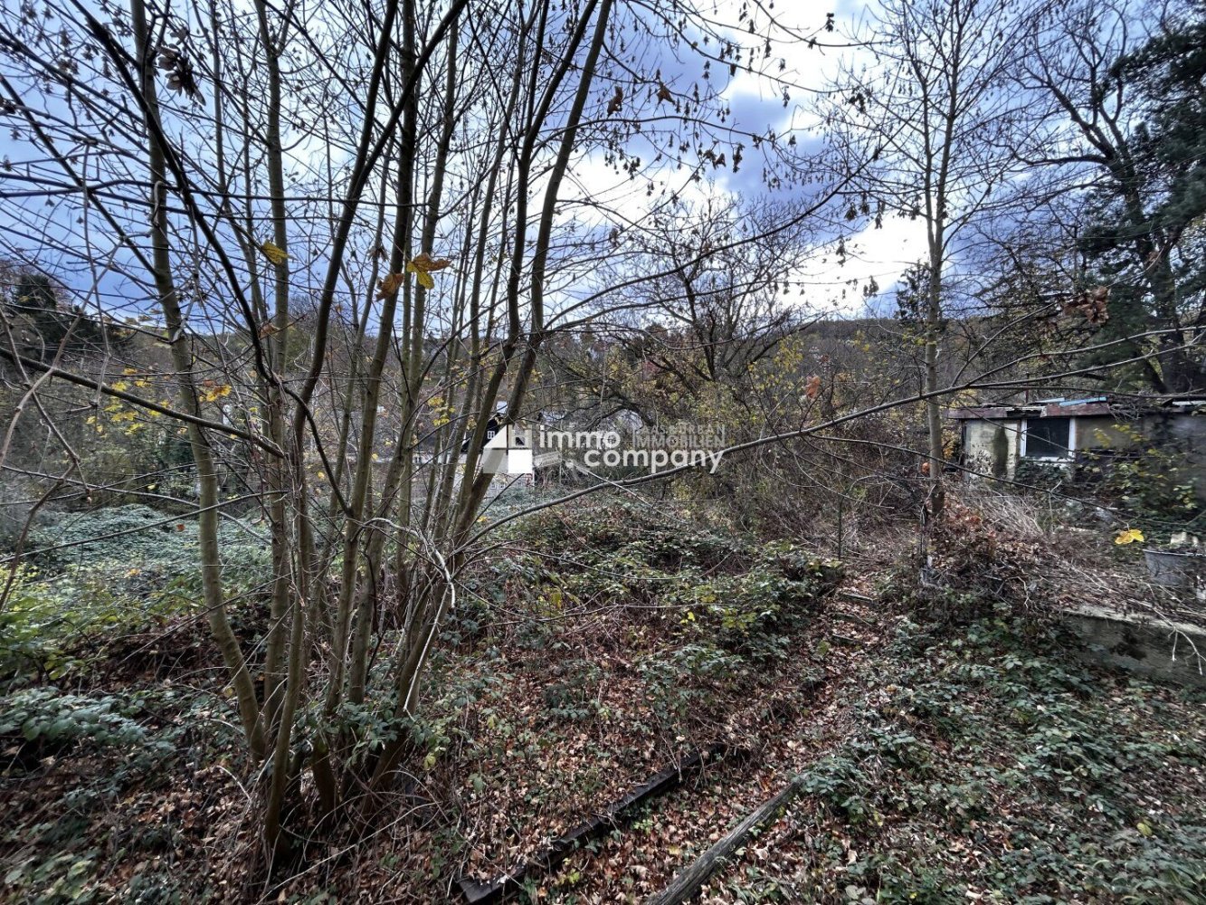 Земельный участок в Клоштернойбург, Австрия № 133519