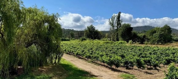 6 غرف نوم فيلا في Cogolin, France رقم 38290 4