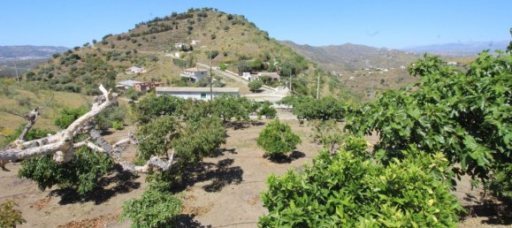 Дом с 3 спальнями в Канильи де Асейтуно, Испания № 131263 22